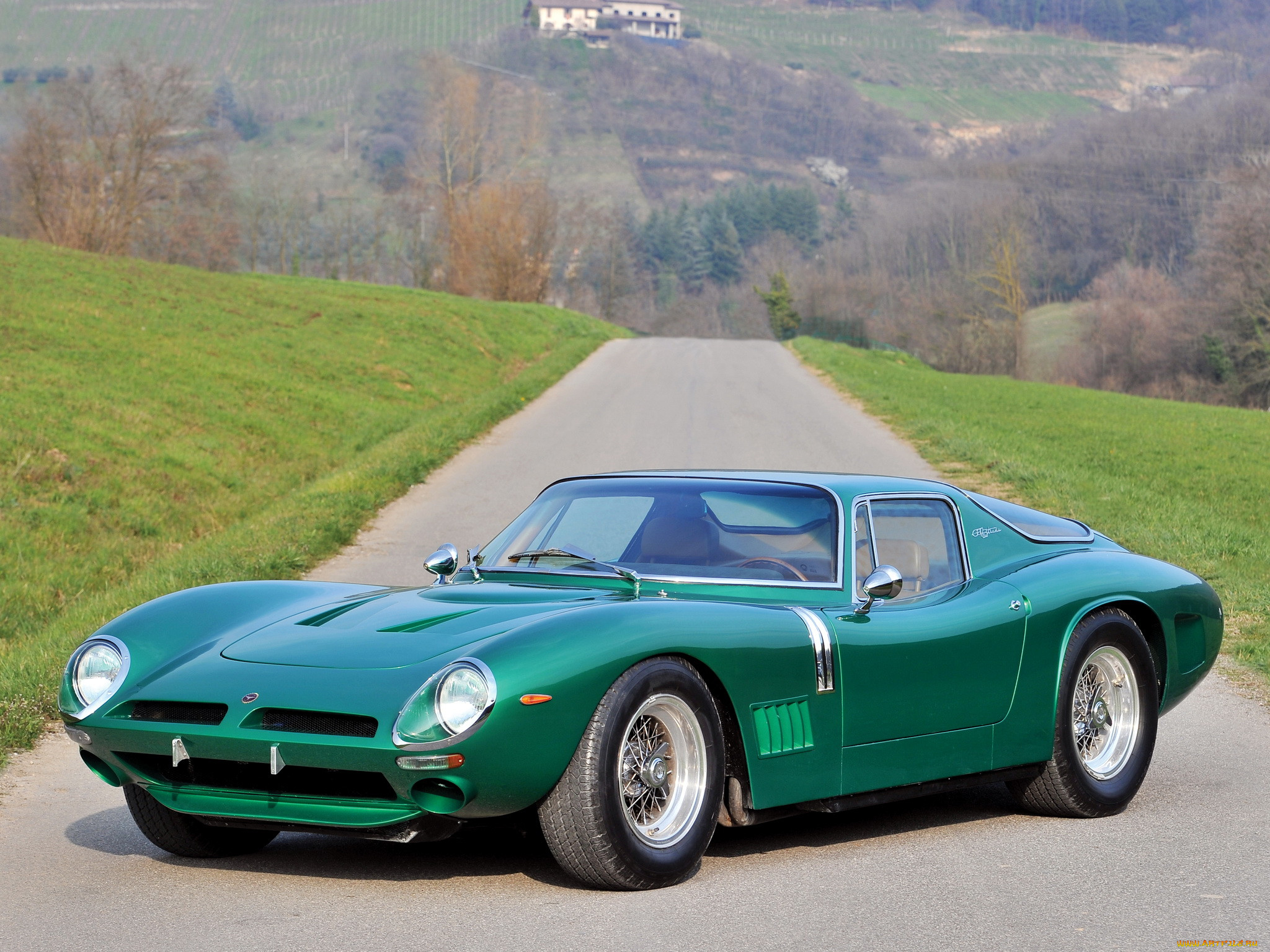 , bizzarrini, bizzarini